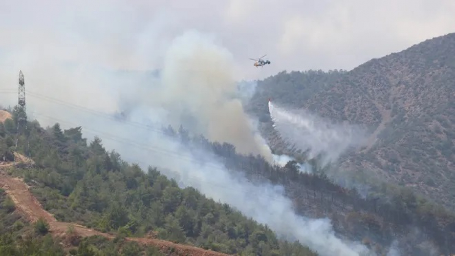 Balıkesir ve Hatay'da orman yangınları