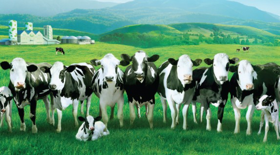 Bursa Sütaş’tan süt ve süt ürünlerinde ihracat rekoru