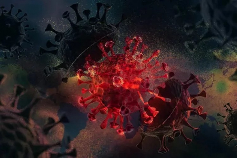 Koronavirüsün 113 farklı mutasyona sahip yeni bir varyantı bulundu!