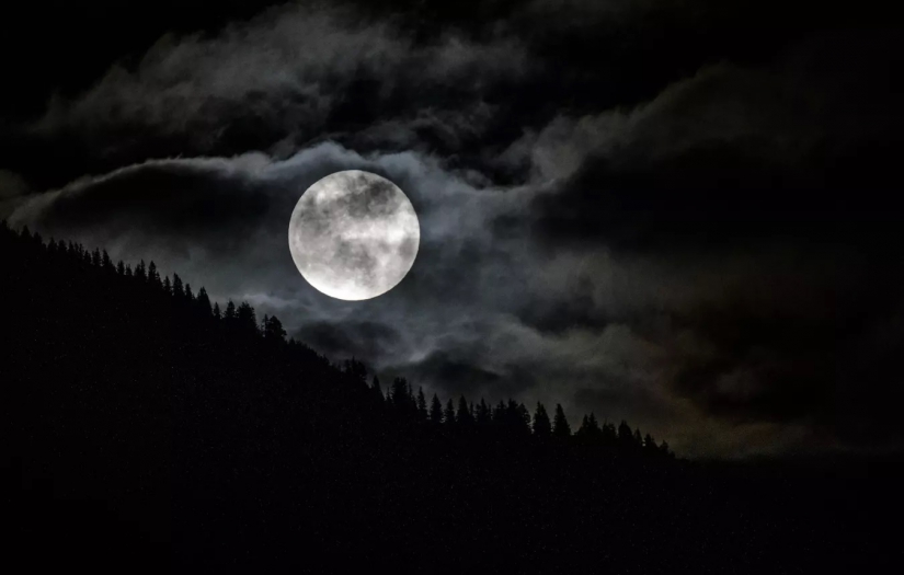 'Kurt adam’ efsanesi gerçek oldu: Yıllardır ormanda yalnız yaşadığı tespit edildi