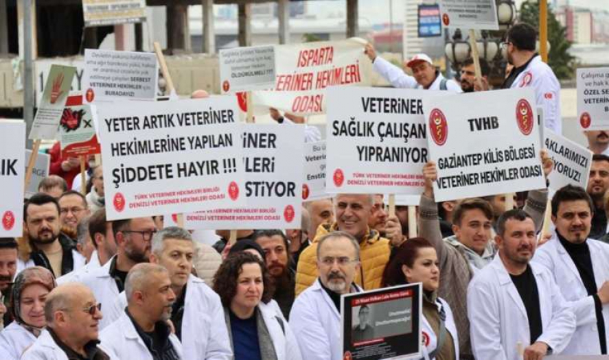 Veteriner hekimler de greve çıkıyor!