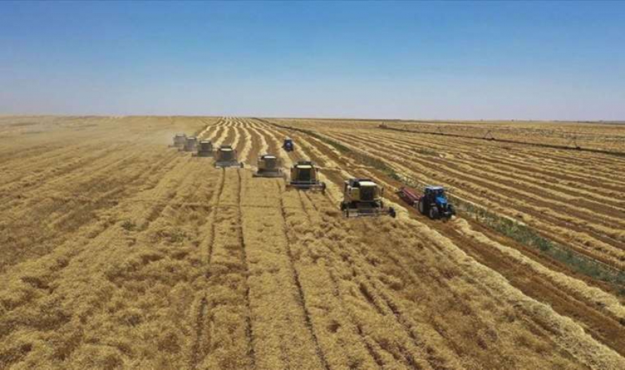 Çiftçiler dikkat! Tarımda izinsiz üretim bitti