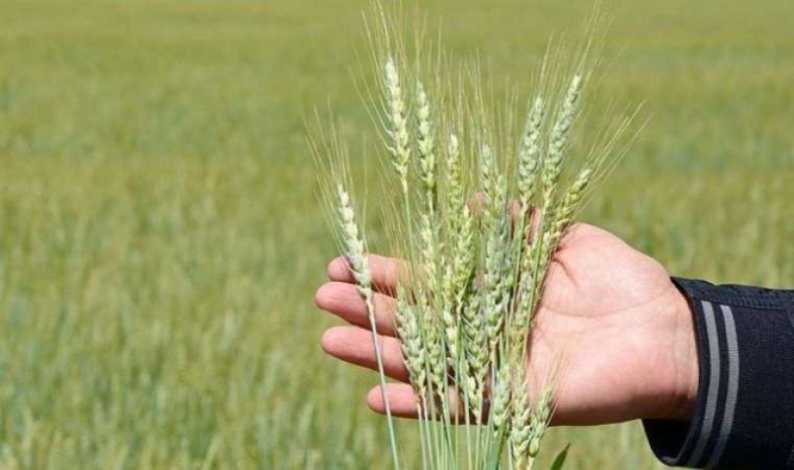 Çiftçilerin mazot ve gübre desteği ne zaman yatacak?