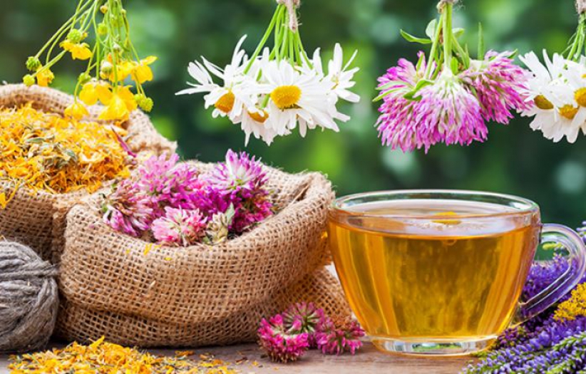 Hangi bitki çayını içmeliyiz