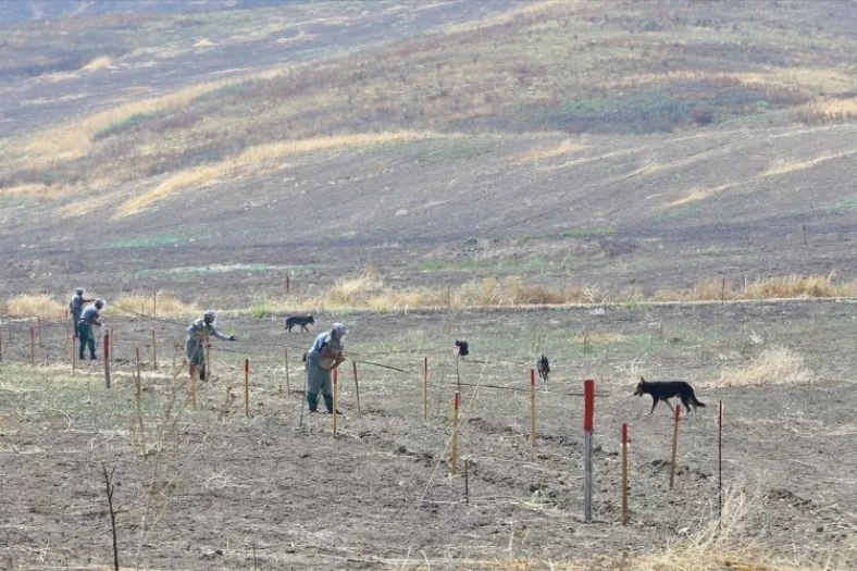 Azerbaycan, işgalin son bulduğu bölgelerde 8 bin 529 mayını etkisiz hâle getirdi