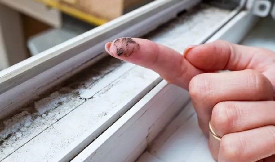 Ev küfü nasıl oluşur, zararları nedir, önlemek için neler yapılabilir?