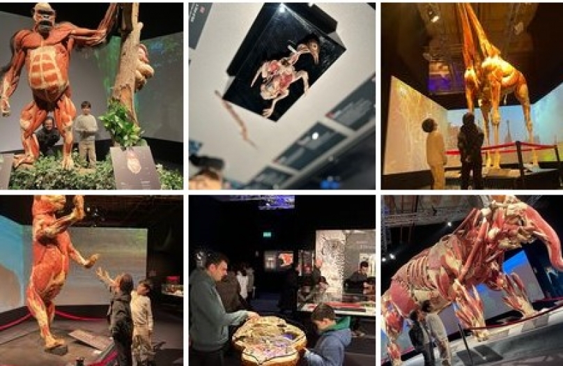 100 Bine yakın kişi ziyeret etti: Sergi süresi uzatıldı