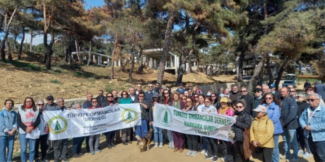 Gelibolu’da halk ormanlık alana dikilen villalara karşı