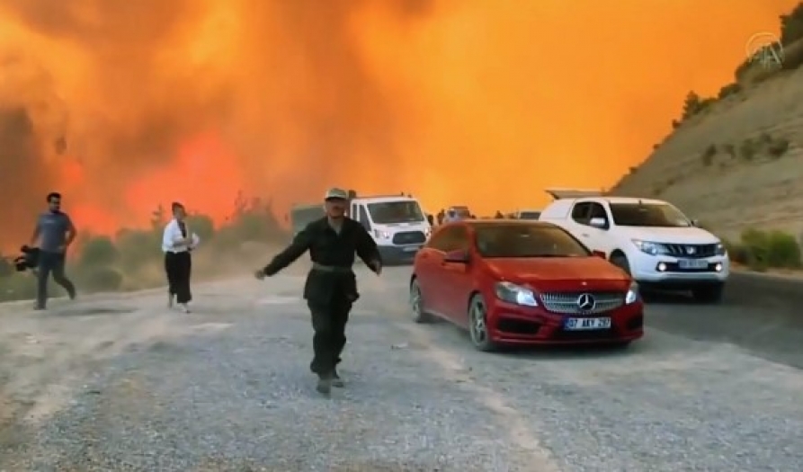 Küllerinden doğuş: Marmaris ormanlarında son durum