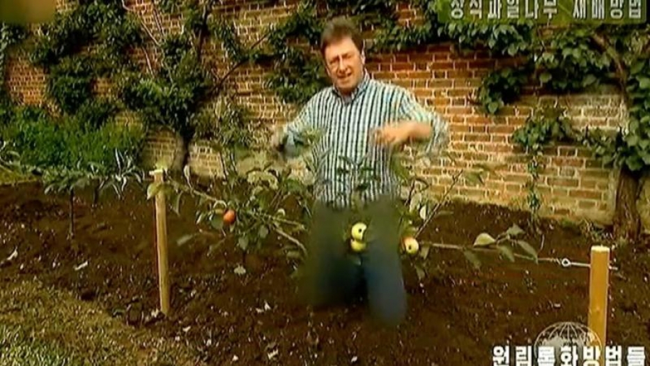 Kuzey Kore'de devlet televizyonu, kot pantolonunu sansürledi