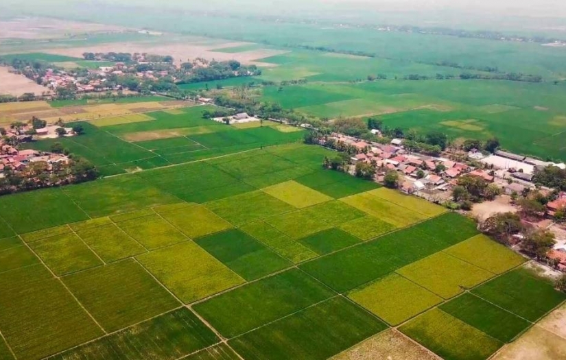 Çorum ve Kırıkkale'de 4 bin ve 7 bin 500 liraya kamu arazileri satılıyor.. İhaleler, 24 ve 25 Nisan’da yapılacak