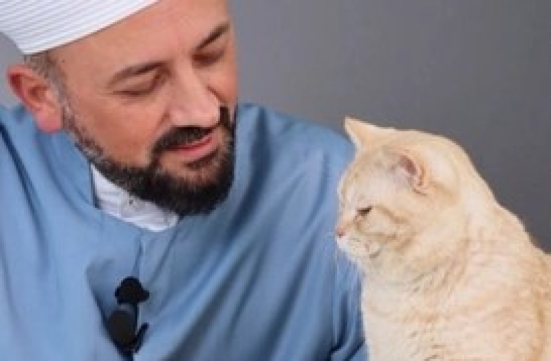 Hayvansever hocadan çağrı: İslam'da "uyutmak" adı altına katletmenin yeri yok
