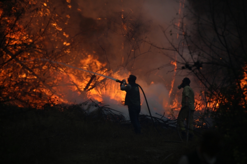 Orman yangınıyla mücadelede 'yapay zekâ' dönemi