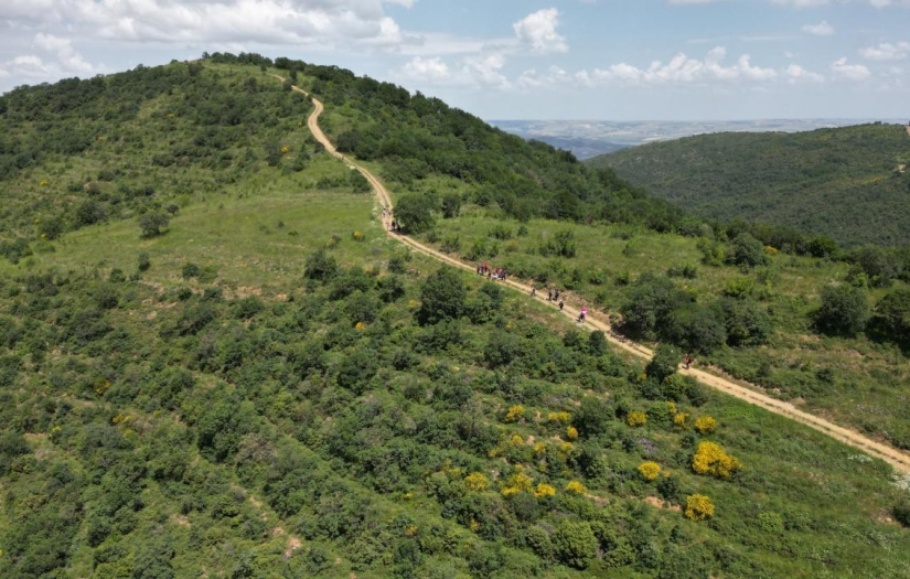 42 ilde ormanlara giriş yasağı