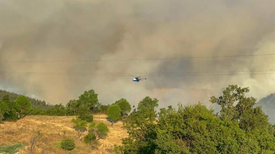 Bursa Büyükorhan ilçesinde orman yangını!