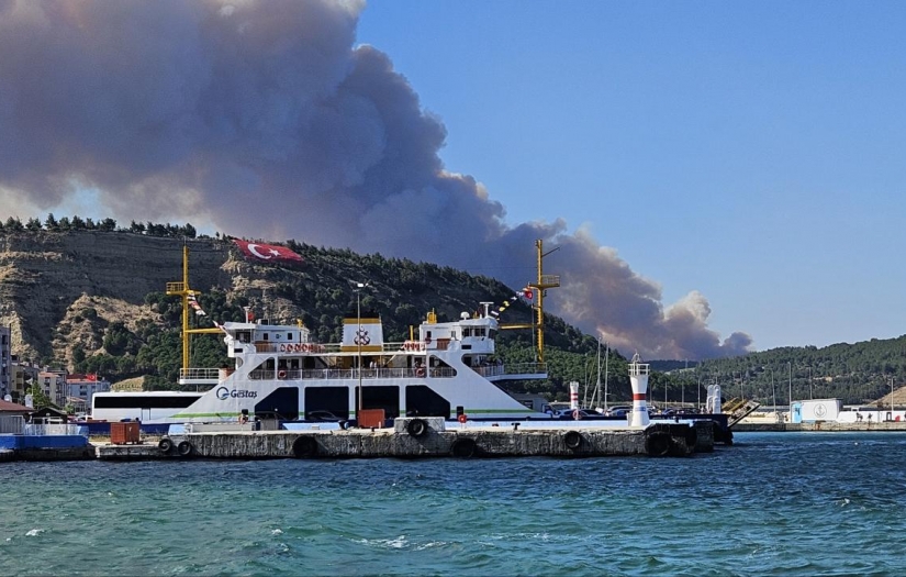 Çanakkale'de orman yangını