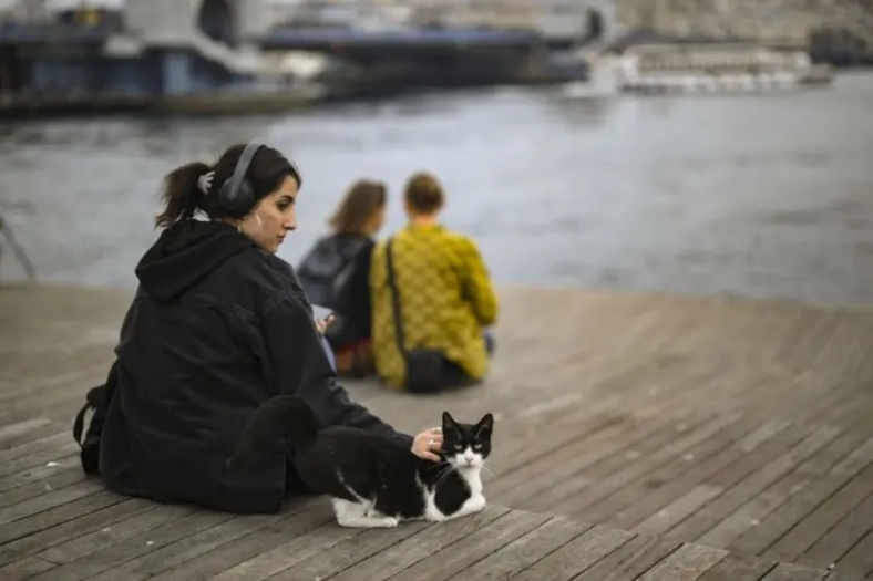 Yeni yargı paketi Meclis'te: Kadın bekarlık soyadını tek başına kullanamayacak