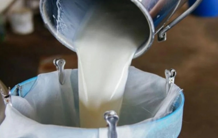 Süt sektöründe kriz derinleşiyor: İthalata bağımlılık arttı