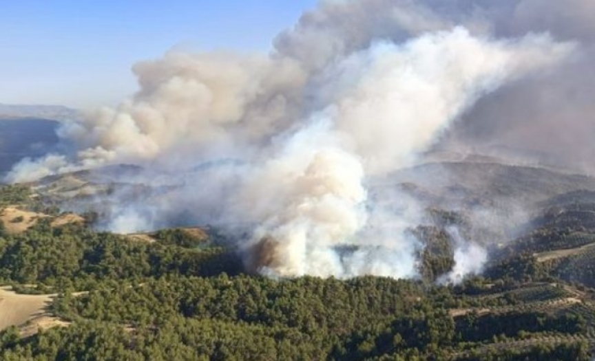 Tarihi Gelibolu Yarımadası'nda çıkan yangın kontrol altına alındı