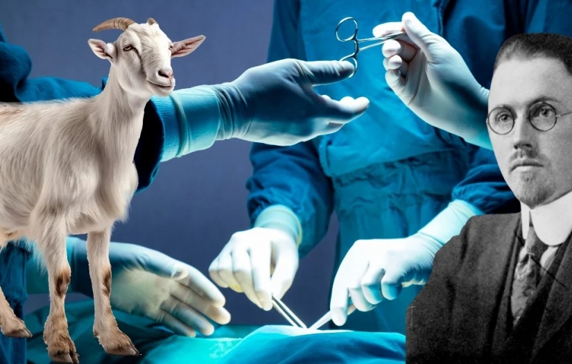 İnsanlara "keçi testisi" nakli yapan sahte doktor, milyoner oldu ve tarihe geçti