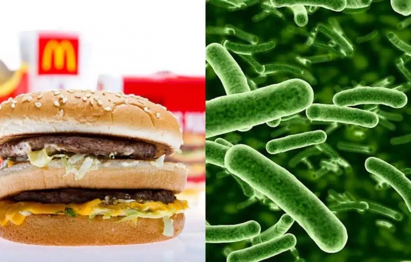 McDonalds’lardaki koli basili salgınının nedeni ortaya çıktı!
