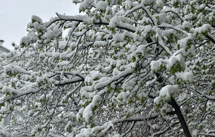 Ankara’da kar yağışı etkili oluyor