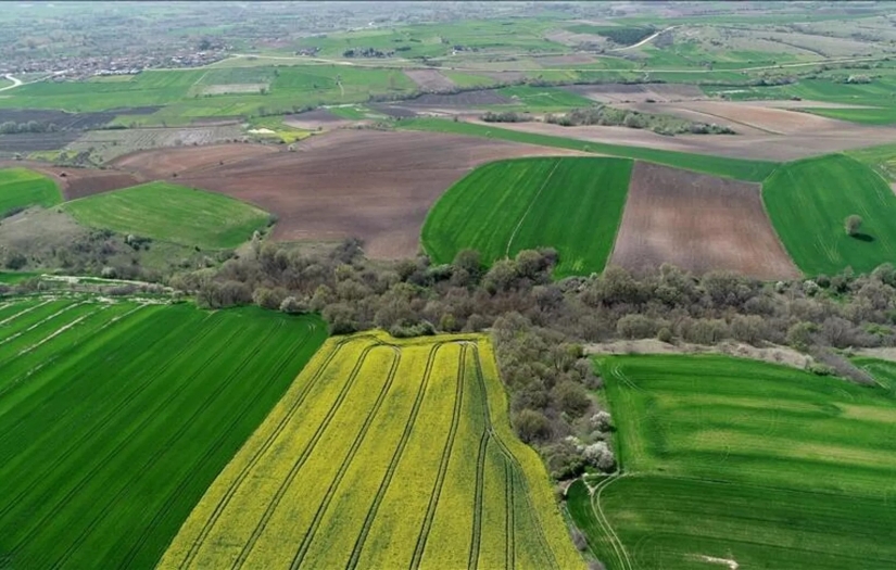 5 milyon kişiye tapu verilecek: 2B arazileri düzenlemesinde 3 ay detayı