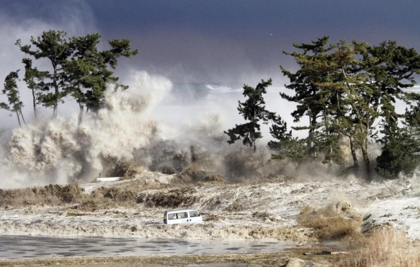 "Esrarengiz" kehribarda 116 milyon yıllık tsunaminin izleri..