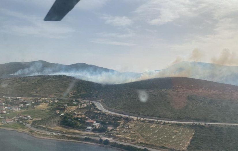 İzmir'in Urla ve Foça ilçelerinde başlayan yangınlar kontrol altında!