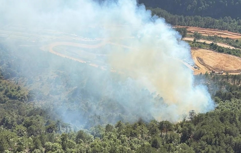 Balıkesir'de orman yangını: Ekipler müdahalede bulunuyor