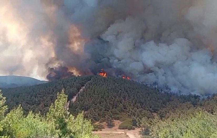 İzmir Foça ilçesinde yangın: 11 uçak ve 13 helikopter desteğiyle müdahale sürüyor!