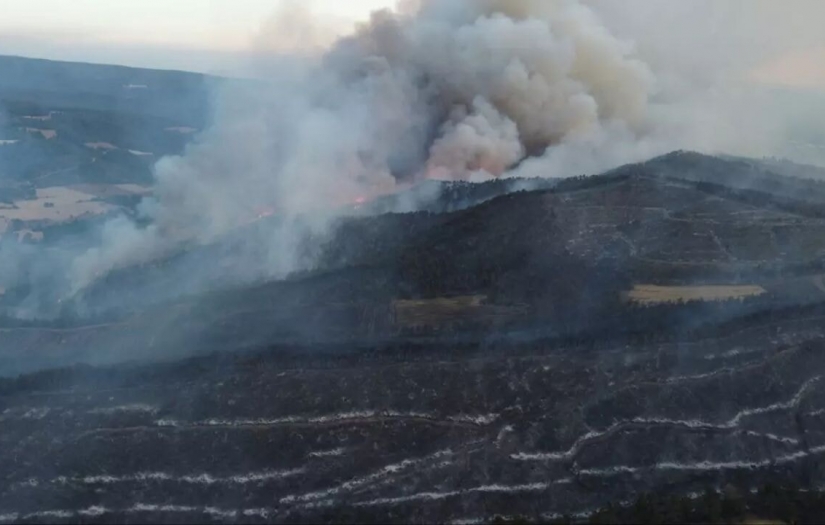 Türkiye'de son orman yangınlarının nedeni belli oldu