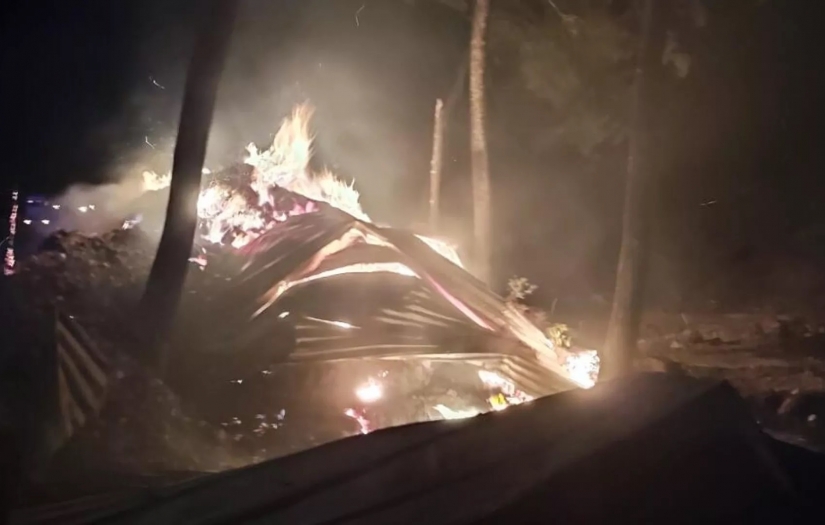 Bilecik'te çiftlikte başlayıp ormana sıçrayan yangına müdahale ediliyor: 95 hayvan telef oldu