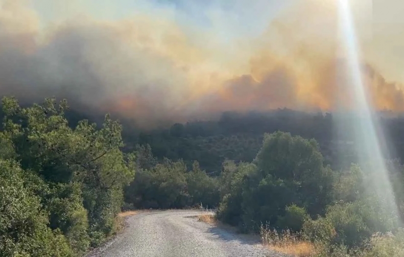 İzmir Urla'da yeni bir yangın daha başladı