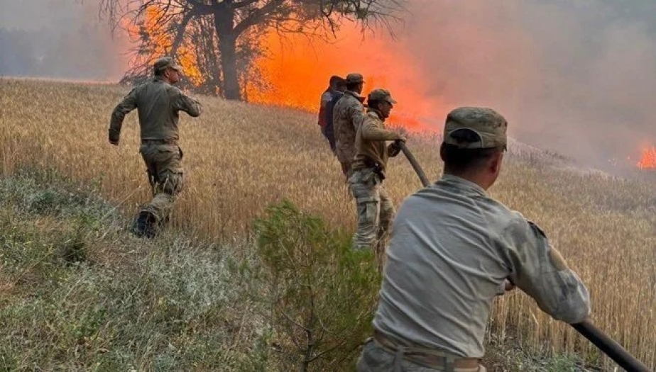 Orman yangınları neden can alıyor? 5 saniyede herşey değişti