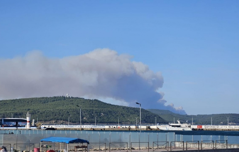 Çanakkale Gelibolu'da orman yangını!