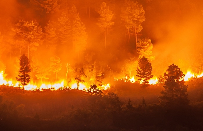 Denizli'nin Buldan ilçesinden yayılan yangın, Aydın'ın Buharkent ilçesine ulaştı
