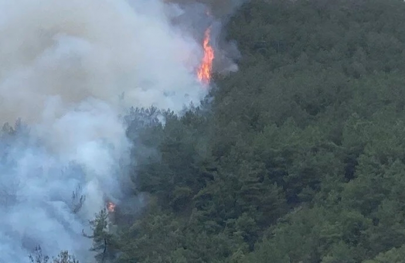 Karabük'te orman yangını: Bir köy boşaltıldı