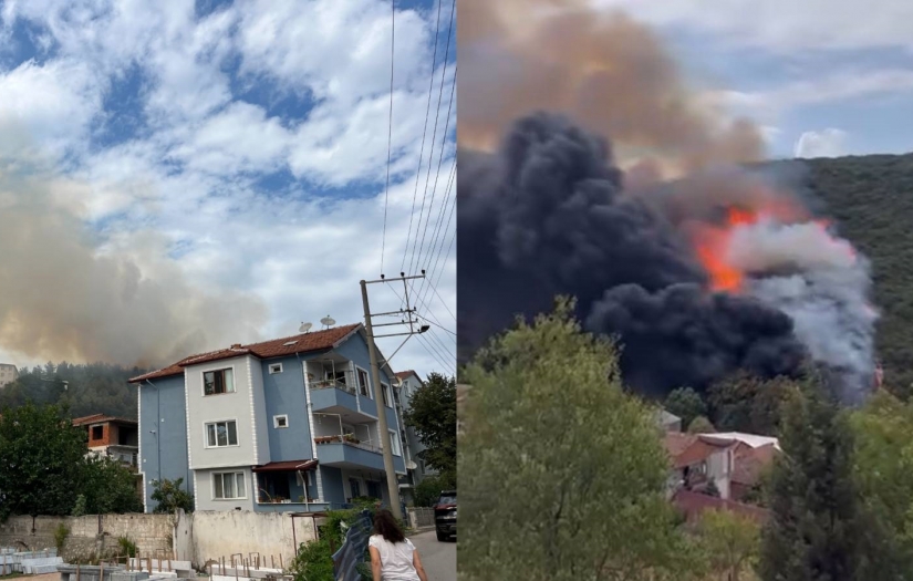 Kocaeli'de yine bir orman yangını; ekipler alevlere müdahale ediyor!