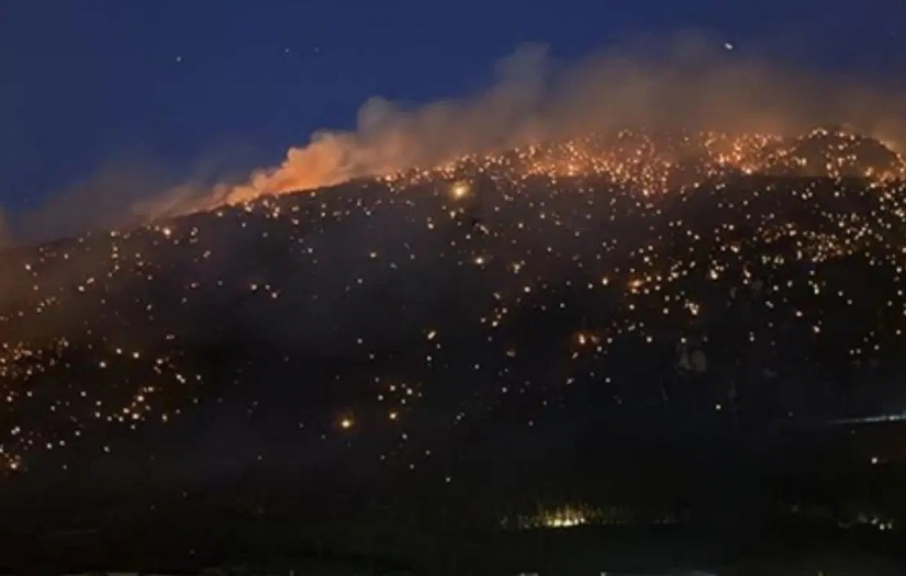 Malatya, Denizli ve Sivas’ta orman yangınları!