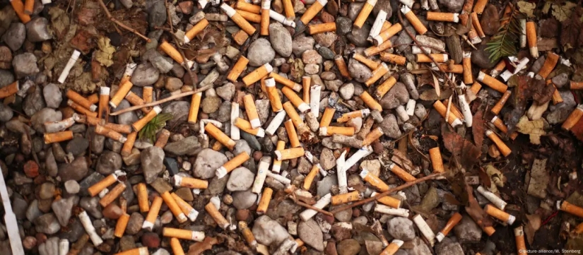 Yere atılan sigara izmaritleri su kaynaklarını zehirliyor