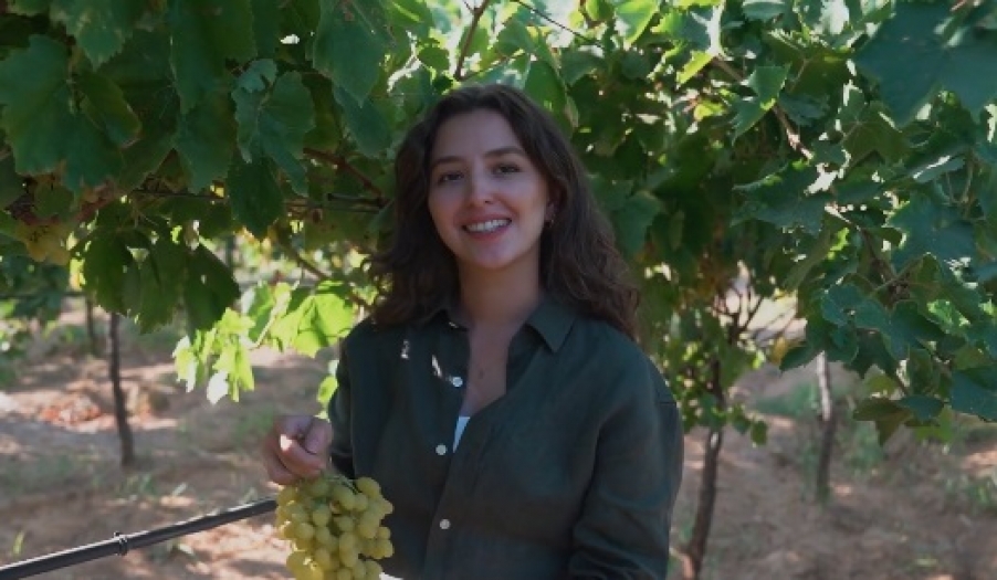 Bağdan dünyaya uzanan üzümün serüveni