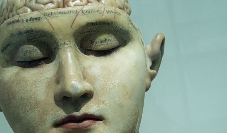 Araştırma: Erkeklerin beyni kadınlarınkinden daha hızlı küçülüyor