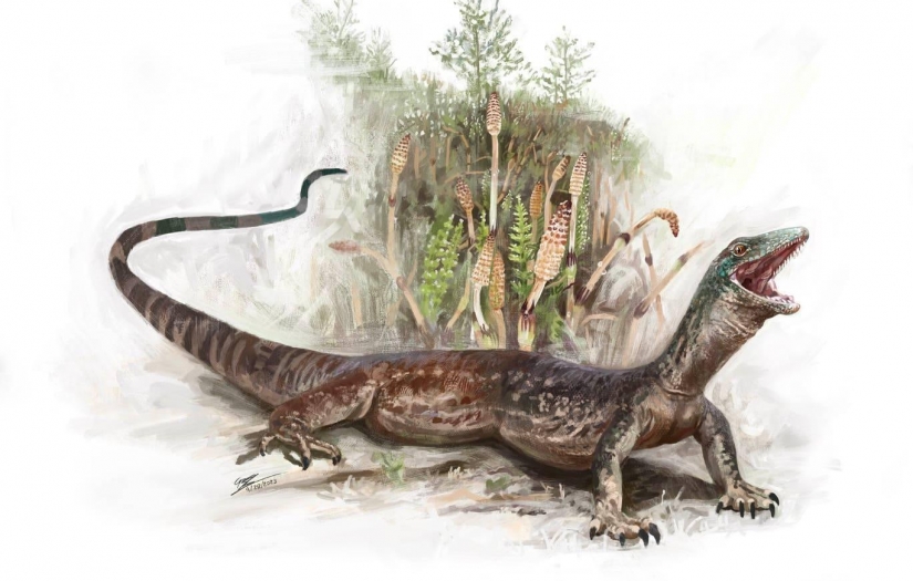 Kertenkele ve yılanların 167 milyon yıl önce yaşamış atası keşfedildi