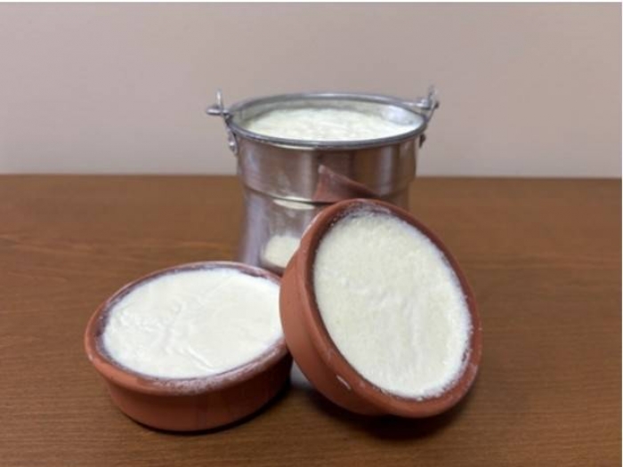 Silifke Yoğurdu, Türkiye’nin AB koruması alan ilk yoğurdu oldu