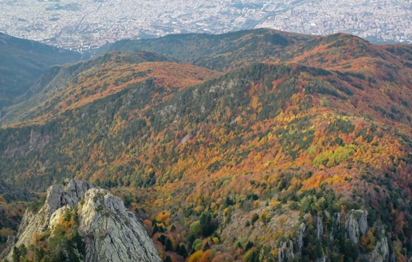 Uludağ'da sonbahar renkleri hakim oldu