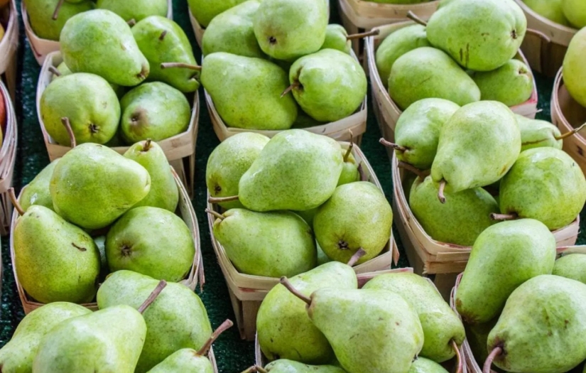 Uzmanlar armudun faydalarını saymakla bitiremedi