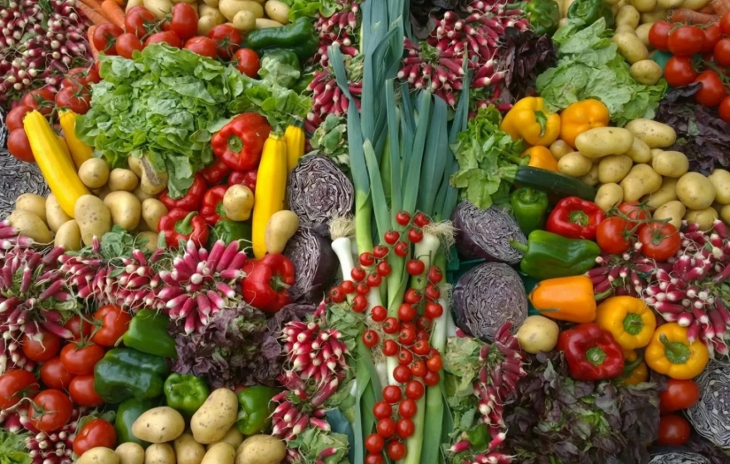 Bitki bazlı beslenmenin yeni faydaları keşfedildi