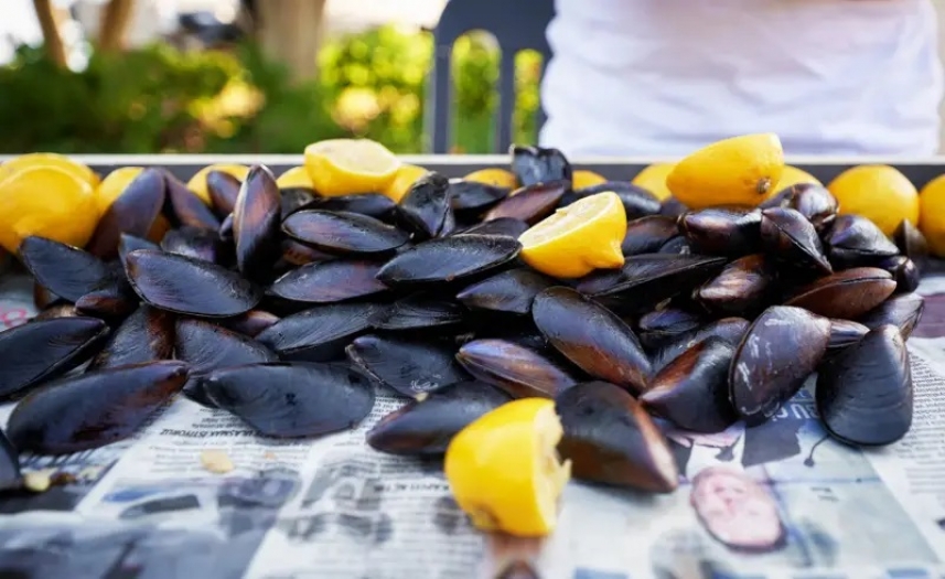 İki çocuk ve annelerinin gıda zehirlenmesinden ölümüyle ilgili dört gözaltı