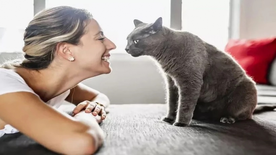 Kediniz nefesinizi neden bu kadar çok kokluyor? Sebebini öğrenince çok şaşırasınız!